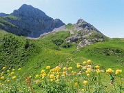 49 Su pratoni fioriti con vista in Corna Piana scendiamo al Passo Branchino